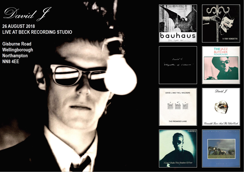 David J - Back to Beck posterTM