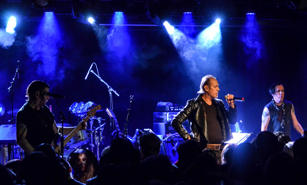 Peter Murphy LPR 1.20 (70)TM